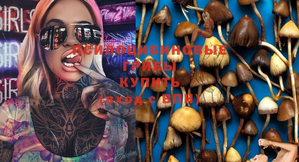 ПСИЛОЦИБИНОВЫЕ ГРИБЫ Вязьма