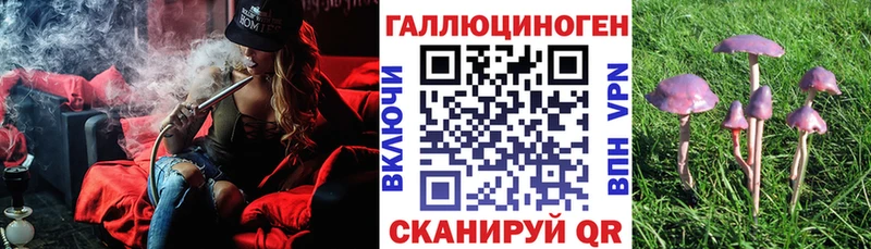 Галлюциногенные грибы MAGIC MUSHROOMS  где найти наркотики  дарк нет как зайти  Данков 